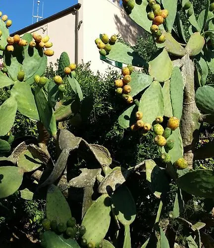 Apartamento San Giuseppe *